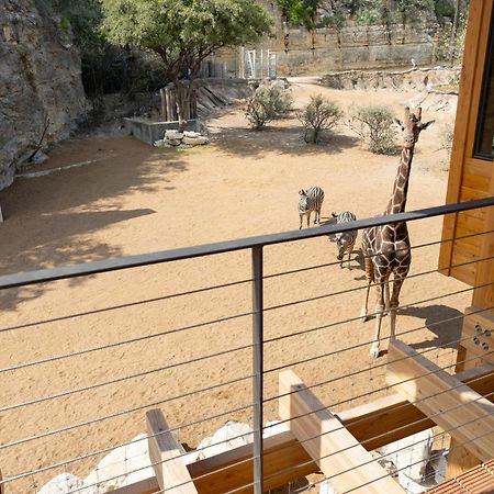 San Antonio Zoo - Spekboom Giraffe Lodge Dış mekan fotoğraf