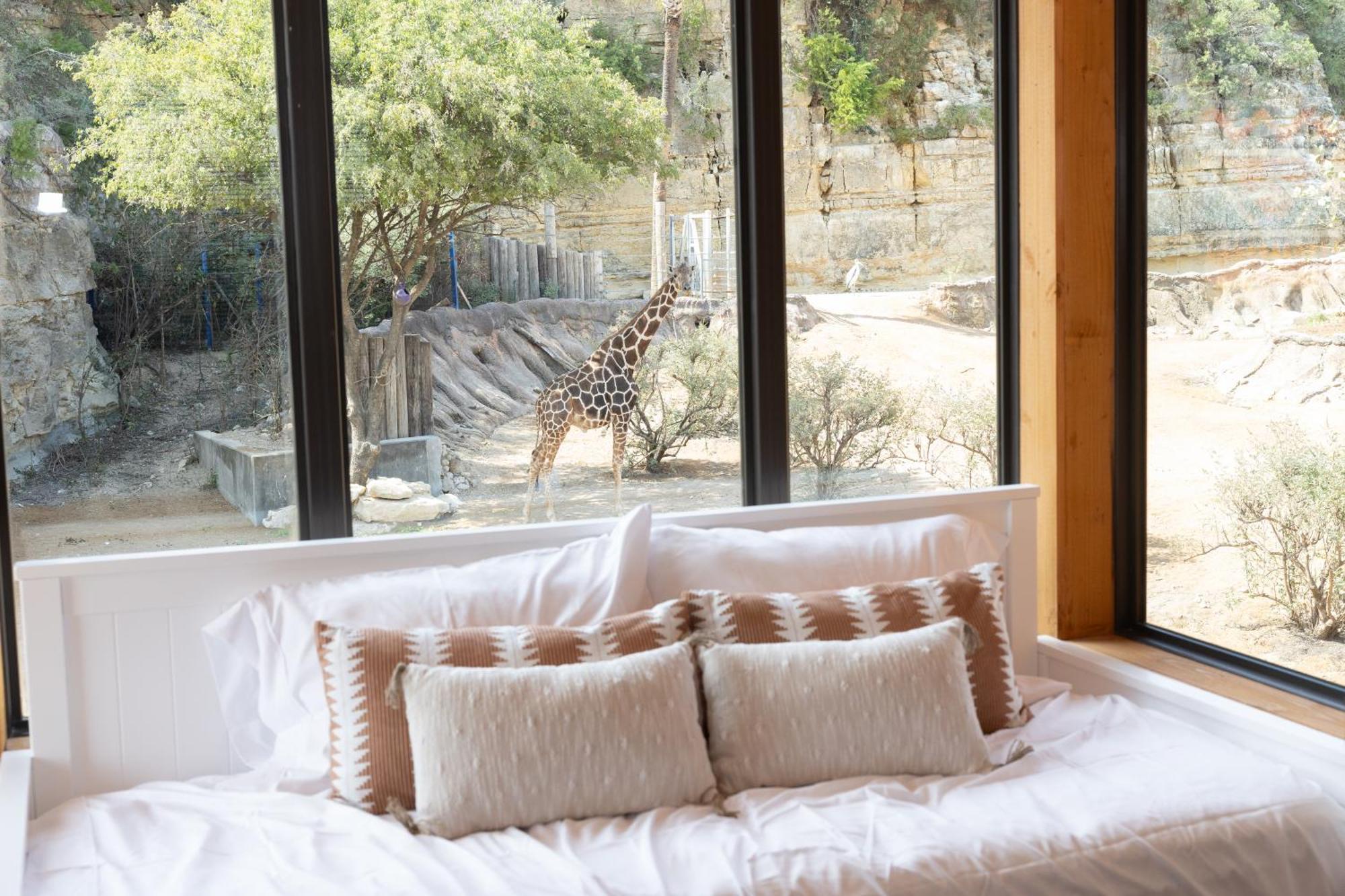 San Antonio Zoo - Spekboom Giraffe Lodge Dış mekan fotoğraf