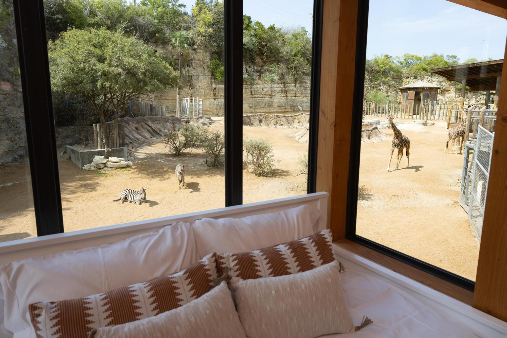 San Antonio Zoo - Spekboom Giraffe Lodge Dış mekan fotoğraf